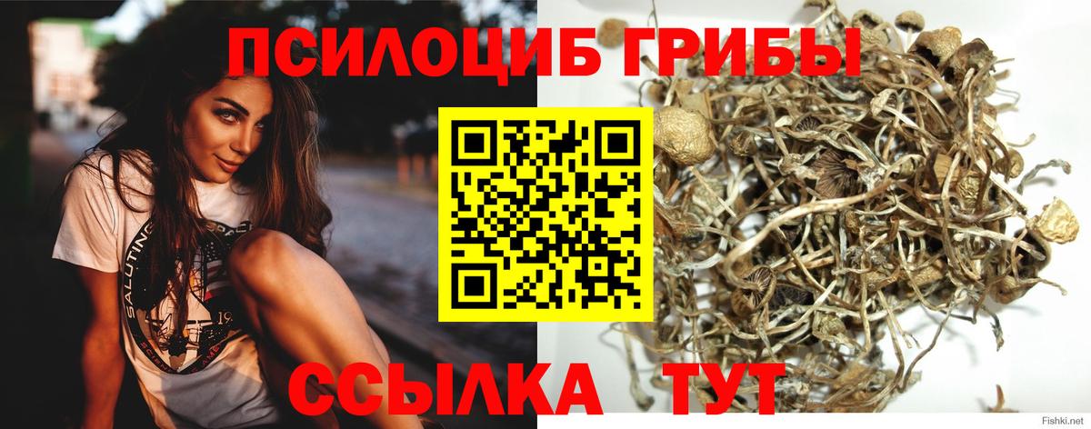 Галлюциногенные грибы ЛСД Обнинск